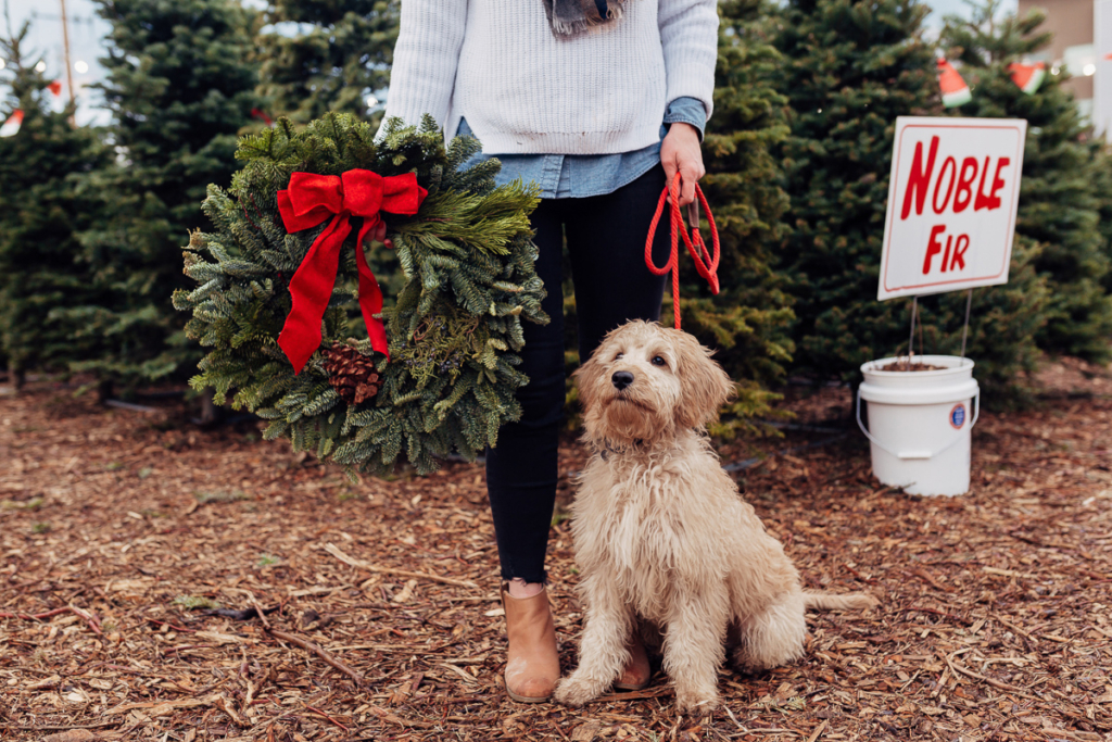 2018 Family Pictures